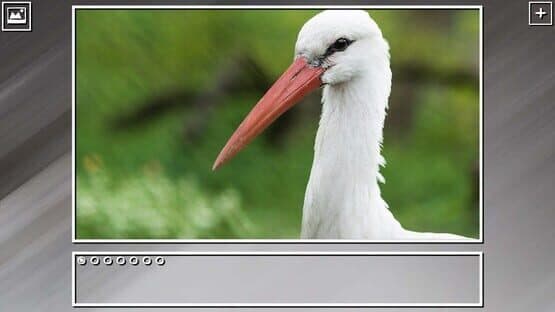 Super Jigsaw Puzzle: Generations - Birds Puzzles — screenshot 2