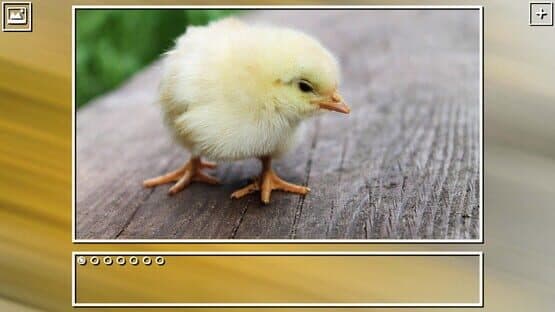 Super Jigsaw Puzzle: Generations - Birds Puzzles — screenshot 3