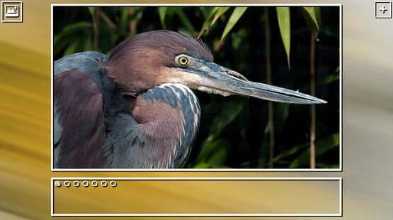 Super Jigsaw Puzzle: Generations - Birds Puzzles — screenshot 4