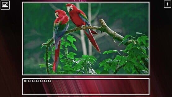 Super Jigsaw Puzzle: Generations - Birds Puzzles — screenshot 6