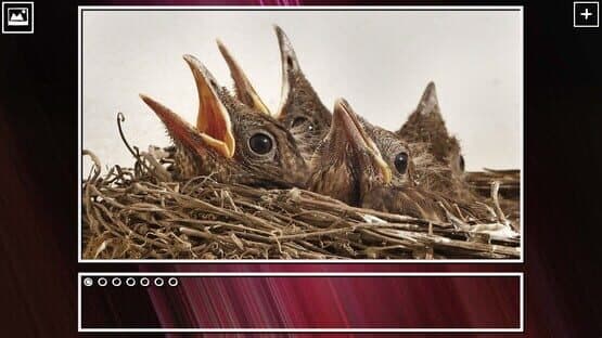 Super Jigsaw Puzzle: Generations - Birds Puzzles — screenshot 7