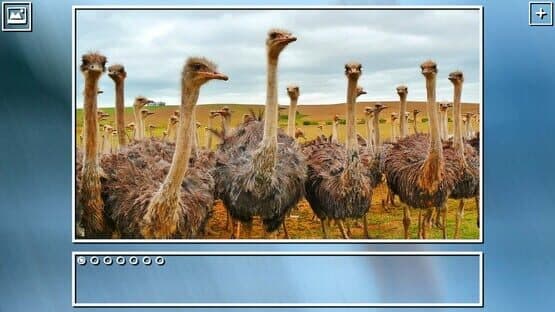 Super Jigsaw Puzzle: Generations - Birds Puzzles — screenshot 8