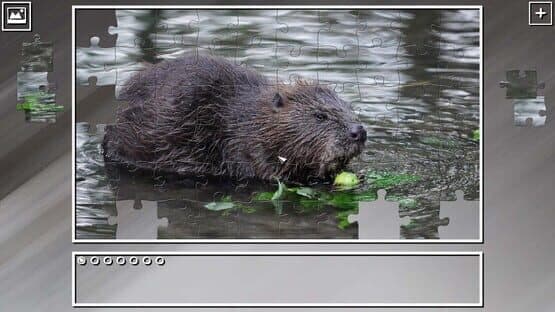 Super Jigsaw Puzzle: Generations - Rodents — screenshot 2