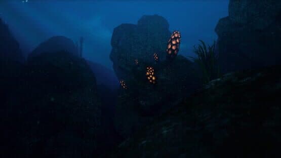 Chillax VR — screenshot 3