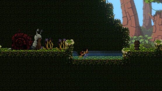 Bacuri — screenshot 2