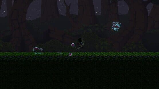 Bacuri — screenshot 5