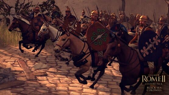 Total War: Rome II - Culture Pack: Black Seas Colonies — screenshot 2