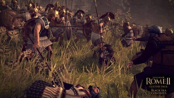 Total War: Rome II - Culture Pack: Black Seas Colonies — screenshot 4