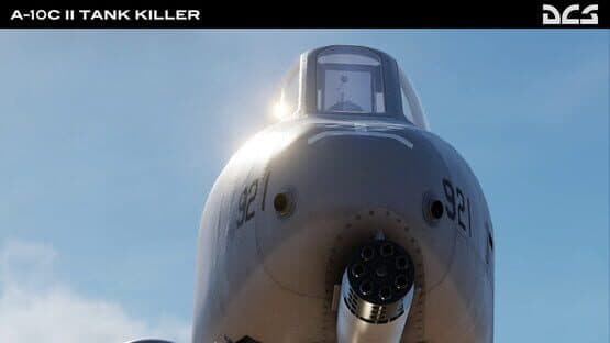 DCS: A-10C II Tank Killer — screenshot 1