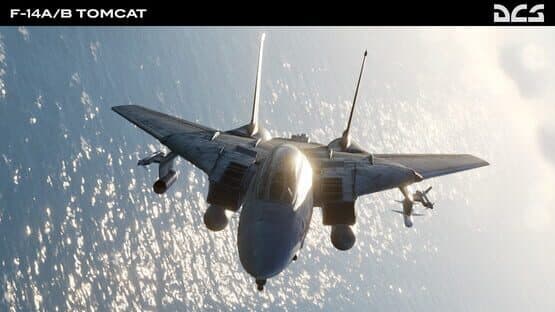DCS World: F-14A/B Tomcat — screenshot 5