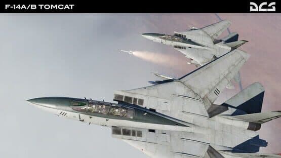 DCS World: F-14A/B Tomcat — screenshot 7