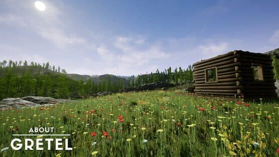 About Gretel — screenshot 5