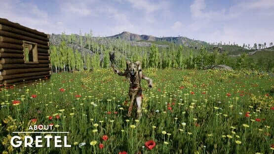 About Gretel — screenshot 6