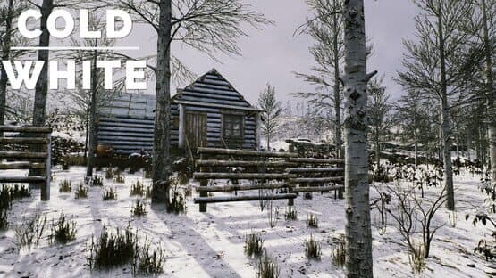 The Cold White — screenshot 5