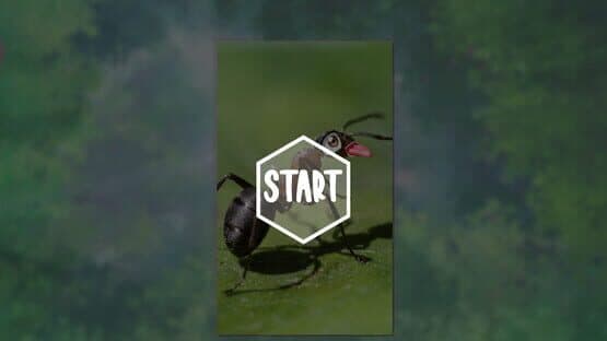My Sweet Ants! — screenshot 1
