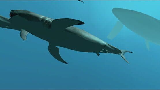 VR Shark — screenshot 1