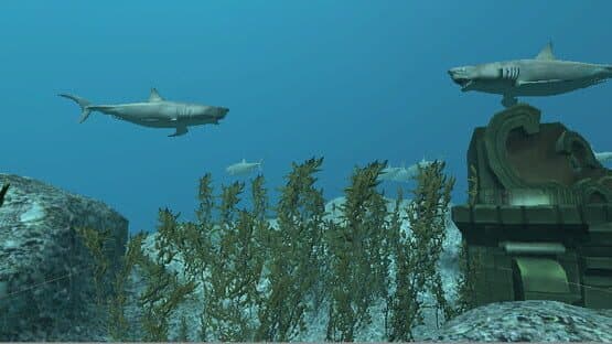 VR Shark — screenshot 3