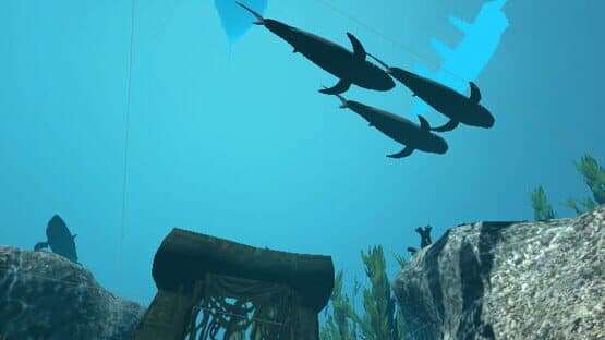VR Shark — screenshot 4