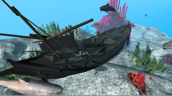 VR Shark — screenshot 5