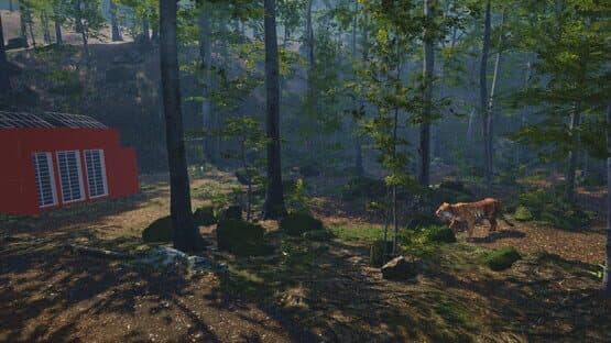 Big Cat Rescue VR — screenshot 3
