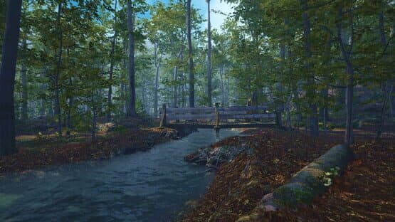 Big Cat Rescue VR — screenshot 5