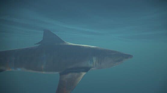 Memory Illusions — screenshot 6