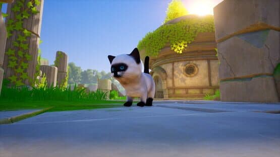 Cat Go! Ultimate Challenge — screenshot 4