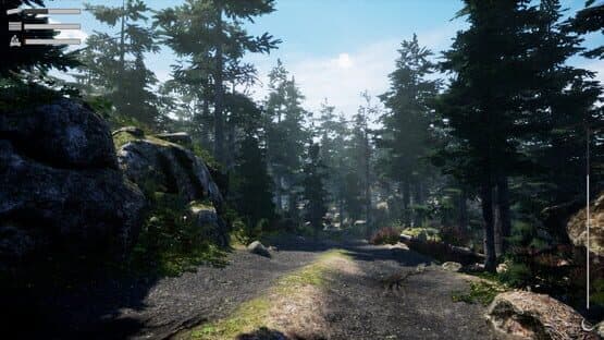 Before Nightfall: Summertime — screenshot 3