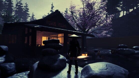 Tale of Ninja: Fall of the Miyoshi — screenshot 1