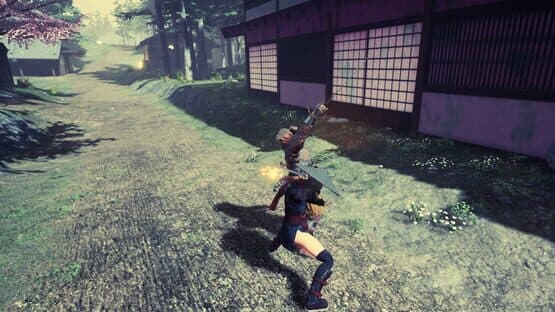 Tale of Ninja: Fall of the Miyoshi — screenshot 2