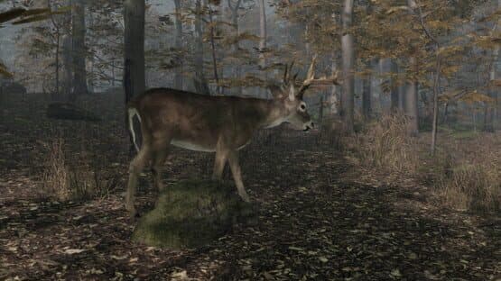 Pro Deer Hunting 2 — screenshot 1