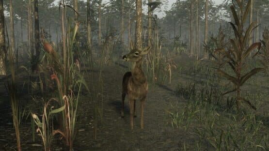 Pro Deer Hunting 2 — screenshot 3
