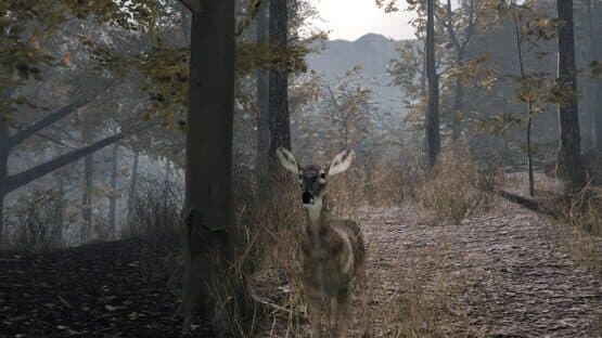 Pro Deer Hunting 2 — screenshot 8
