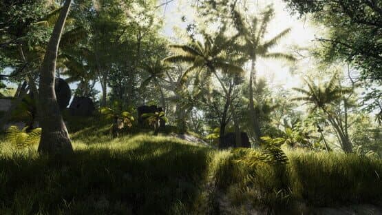 Bromeliad — screenshot 2