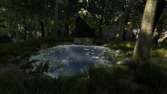 Bromeliad — screenshot 5