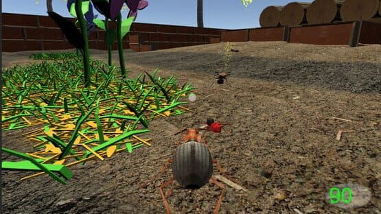 Insect: Bombardier beetle — screenshot 1