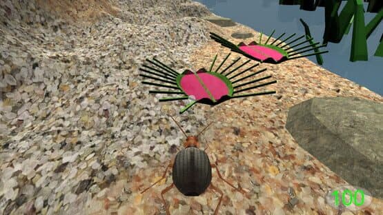 Insect: Bombardier beetle — screenshot 3