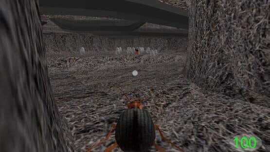 Insect: Bombardier beetle — screenshot 5