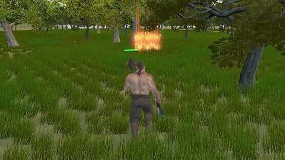 Pirate of Madagascar Island — screenshot 7