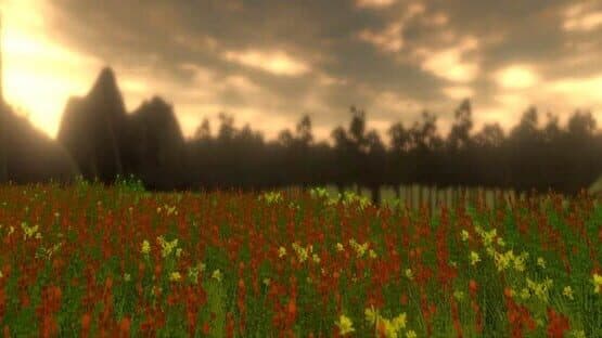 Sunflower Code — screenshot 2