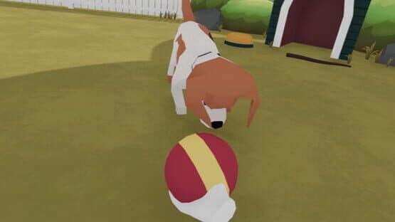 You Can Pet the Dog VR — screenshot 2