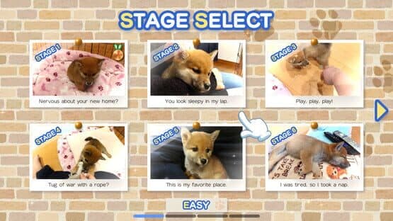 Shiba Mekuri — screenshot 1