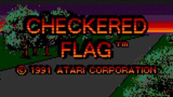 Checkered Flag — screenshot 5