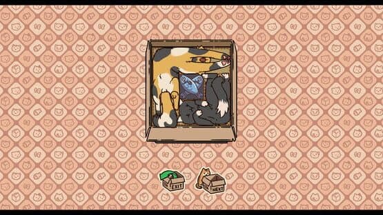 Box Cats Puzzle — screenshot 1