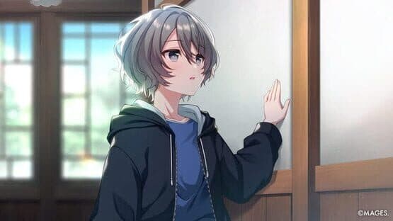 Since Memories: Off the Starry Sky - Limited Edition — screenshot 1
