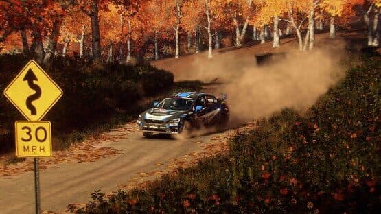 DiRT Rally 2.0: Super Deluxe Edition — screenshot 2