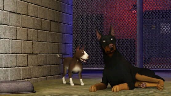 The Sims 3: Pets — screenshot 4