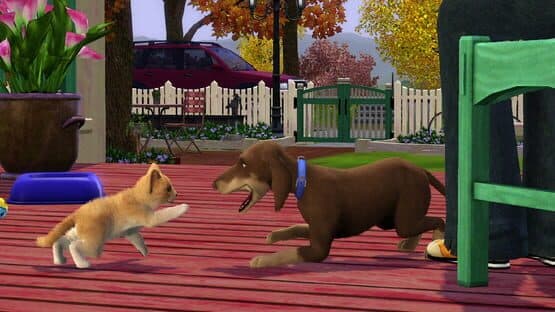 The Sims 3: Pets — screenshot 8