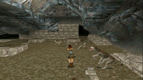 Tomb Raider — screenshot 6
