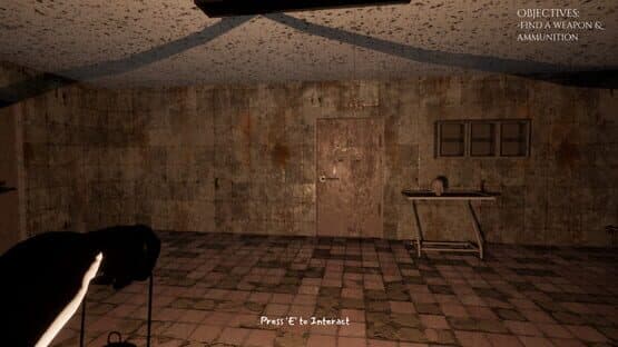Hanefield Asylum — screenshot 3